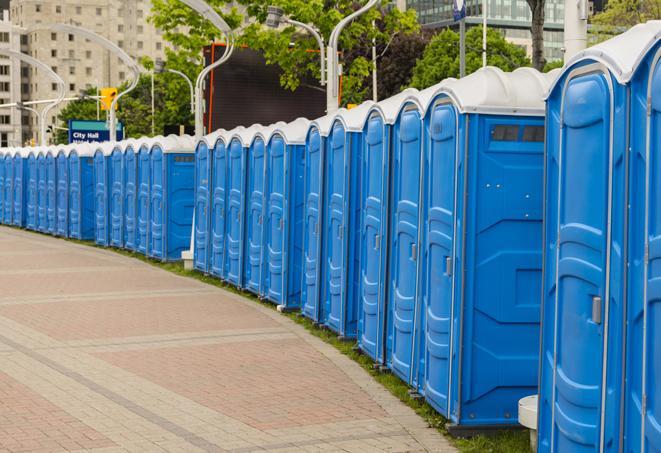 Seasonal porta potty units set up at a Portage, Michigan venue